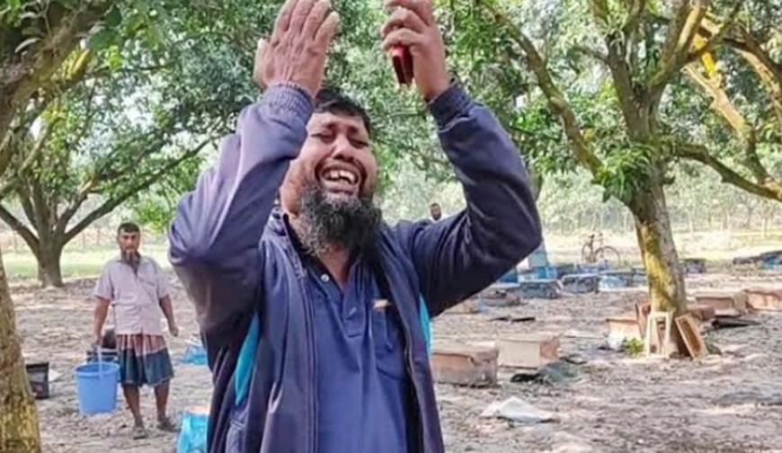 বিষ দিয়ে ২০০ বক্স মৌমাছি হত্যা!