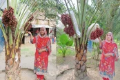 কেশবপুর