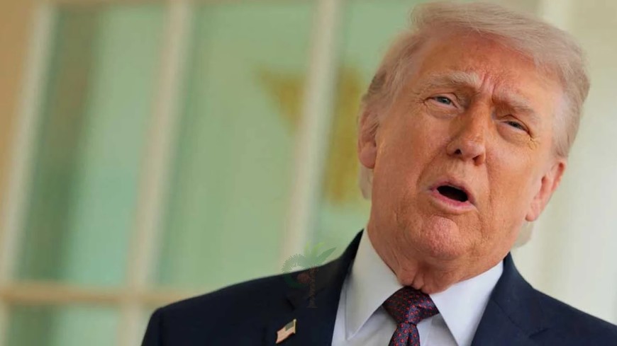 লেবাননে ১০ দিনের যুদ্ধবিরতি ঘোষণা করলেন ট্রাম্প