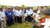 নড়াইলে রামচন্দ্রপুর-দাইবাড়ি খাল পুনঃখনন কাজ উদ্বোধন