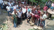 কালিয়ায় খাল পুনঃখনন কাজের উদ্বোধন