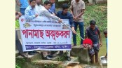 কালিয়ায় প্রাকৃতিক জলাশয়ে পোনামাছ অবমুক্ত