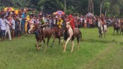 তালায় ঘোড়দৌড় প্রতিযোগিতা