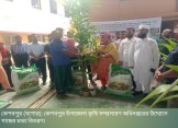 গাছের চারা বিতরণ করেছে কেশবপুর কৃষি অফিস