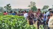 মেহেরপুর সীমান্তে পুশইন প্রতিরোধে বিজিবি-গ্রামবাসী