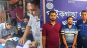 পাইকগাছা