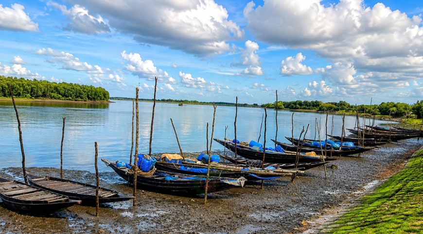 সুন্দরবন রক্ষাকে জাতীয় নিরাপত্তার অংশ বিবেচনা করতে হবে
