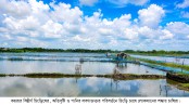 অতিবৃষ্টিতে কমছে লবণাক্ততা, শঙ্কায় কয়রার চিংড়ি চাষিরা
