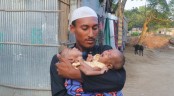 একই কবরে দাফন যমজ দুই শিশুর