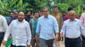 চলতি বছরেই পাঁচ সিটি করপোরেশনসহ সব স্থানীয় নির্বাচন হবে