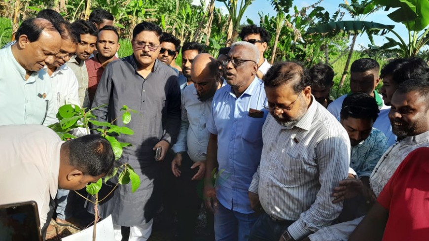 এসএসসি উত্তীর্ণদের সংবর্ধনা বৃক্ষরোপণ