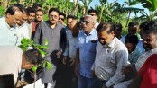 এসএসসি উত্তীর্ণদের সংবর্ধনা বৃক্ষরোপণ