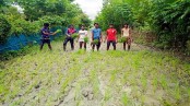 শ্যামনগরে সড়কে ধান রোপণ করে এলাকাবাসীর প্রতিবাদ