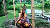 বাগেরহাট